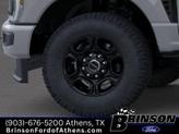 Thumbnail of 2025 Avalanche Ford F-250