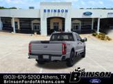 Thumbnail of 2025 Avalanche Ford F-250