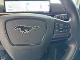 Thumbnail of 2021 Rapid Red Metallic Tinted Clearcoat Ford Mustang Mach-E