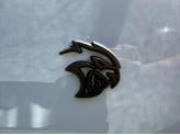 Thumbnail of 2021 White Dodge Challenger