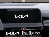 Thumbnail of 2025 Gravity Gray Kia Seltos