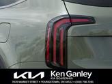 Thumbnail of 2025 Jungle Green Kia Telluride