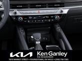 Thumbnail of 2025 Jungle Green Kia Telluride
