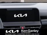 Thumbnail of 2025 Snow White Pearl Kia Seltos