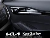 Thumbnail of 2025 Gravity Gray Kia Seltos