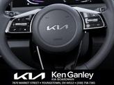 Thumbnail of 2025 Gravity Gray Kia Seltos