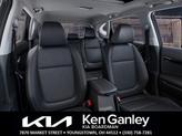 Thumbnail of 2025 Blue Kia Seltos
