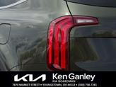 Thumbnail of 2025 Dark Moss Kia Telluride