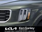 Thumbnail of 2025 Dark Moss Kia Telluride
