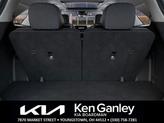 Thumbnail of 2025 Metal Kia Sorento