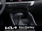 Thumbnail of 2025 Metal Kia Sorento