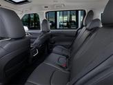 Thumbnail of 2026 Panthera Metal Kia Carnival