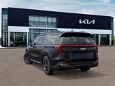Thumbnail of 2026 Panthera Metal Kia Carnival