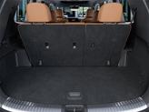 Thumbnail of 2025 Jungle Green Kia Telluride
