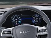 Thumbnail of 2025 Panthera Metal Kia Telluride