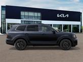 Thumbnail of 2025 Panthera Metal Kia Telluride