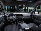 Thumbnail of 2025 Panthera Metal Kia Telluride