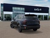 Thumbnail of 2025 Panthera Metal Kia Telluride