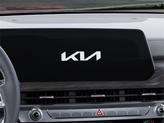 Thumbnail of 2025 Panthera Metal Kia Telluride