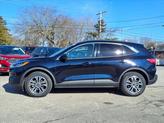 Thumbnail of 2021 Blue Ford Escape