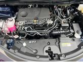 Thumbnail of 2023 Blueprint Toyota Sienna