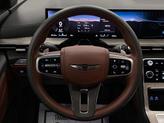 Thumbnail of 2025 Vik Black Genesis GV80