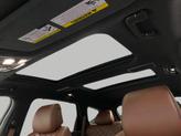 Thumbnail of 2025 Vik Black Genesis GV80