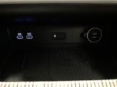 Thumbnail of 2025 Vik Black Genesis GV80