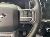 Thumbnail of 2025 Space Gray Ford F-150