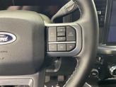Thumbnail of 2026 Glacier Gray Ford F-250