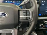 Thumbnail of 2026 Carbonized Gray Ford F-250