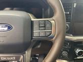 Thumbnail of 2025 Carbonized Gray Ford F-150