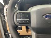 Thumbnail of 2025 Avalanche Ford F-250