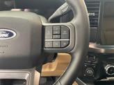 Thumbnail of 2025 Avalanche Ford F-250