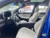 Thumbnail of 2025 Blue Genesis G70