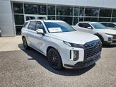 Photo of 2025 Hyper White Hyundai PALISADE