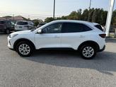 Thumbnail of 2023 STAR WHITE METALLIC TRI-COAT Ford Escape