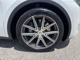 Thumbnail of 2021 Pearl White Multi-Coat Tesla Model Y