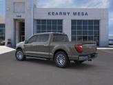 Thumbnail of 2025 Gray Ford F-150