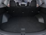 Thumbnail of 2025 CLEAR WHITE/BLACK Kia Seltos