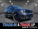 Photo of 2025 Panthera Metal Kia Telluride