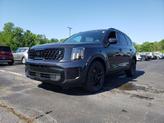 Thumbnail of 2025 Panthera Metal Kia Telluride