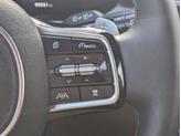 Thumbnail of 2021 Sapphire Blue Kia Sorento