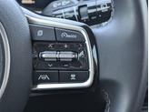 Thumbnail of 2023 Sapphire Blue Kia Sorento