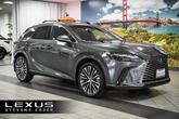 Photo of 2024 Cloudburst Gray Lexus RX 350