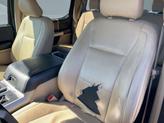 Thumbnail of 2016 Brown Ford F-150