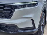Thumbnail of 2026 Platinum White Pearl Honda CR-V