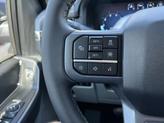 Thumbnail of 2025 Rapid Red MET Tinted Ford F-150