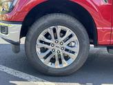 Thumbnail of 2025 Rapid Red MET Tinted Ford F-150
