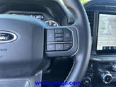 Thumbnail of 2023 Carbonized Gray Metallic Ford F-150